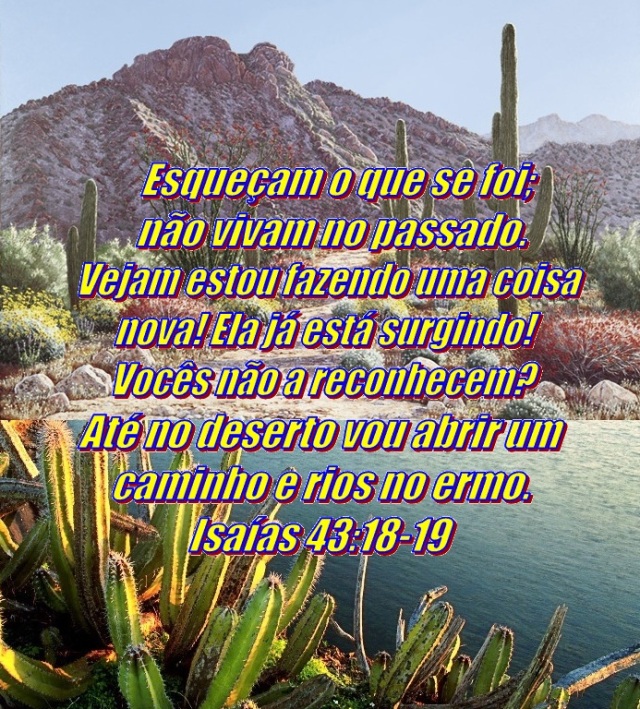 NÃO PENSE NO PASSADO – CONFIE NO SENHOR – Isaías 43:18-19 | Mission Venture  Ministries em Português